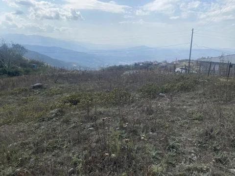 DÜZİÇİNDE İKİ EV SIĞACAK YAYLALIK BİR YAYLALIK