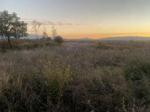 DÜZİÇİNDE ARK SUYU İLE SULANAN 6565 m2