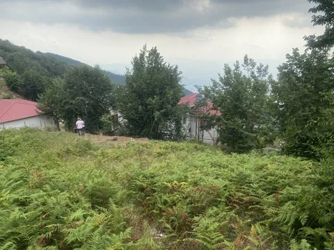 DÜZİÇİNDE ÇOK ÖZEL YAYLALIK